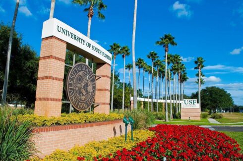 University of South Florida MA in ABA: The Cohort Model, Small Classes, and Why Faculty Access Matters